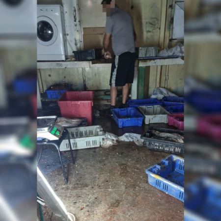  ضبط حوالي (200 كيلو) من الأسماك التالفة في عكا